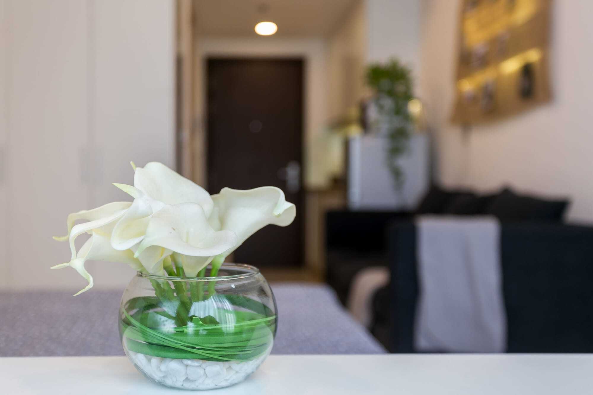 Macy Studio Apartment Πόλη Χο Τσι Μινχ Εξωτερικό φωτογραφία